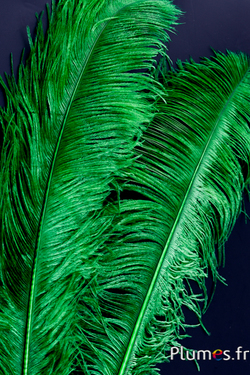 Autruche premium - 50-60 cm - vert